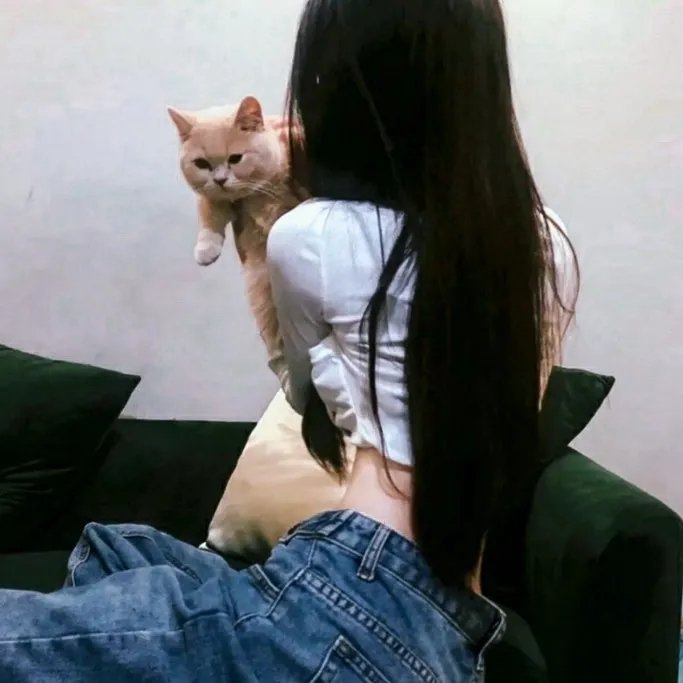 血洗迪亚兹
