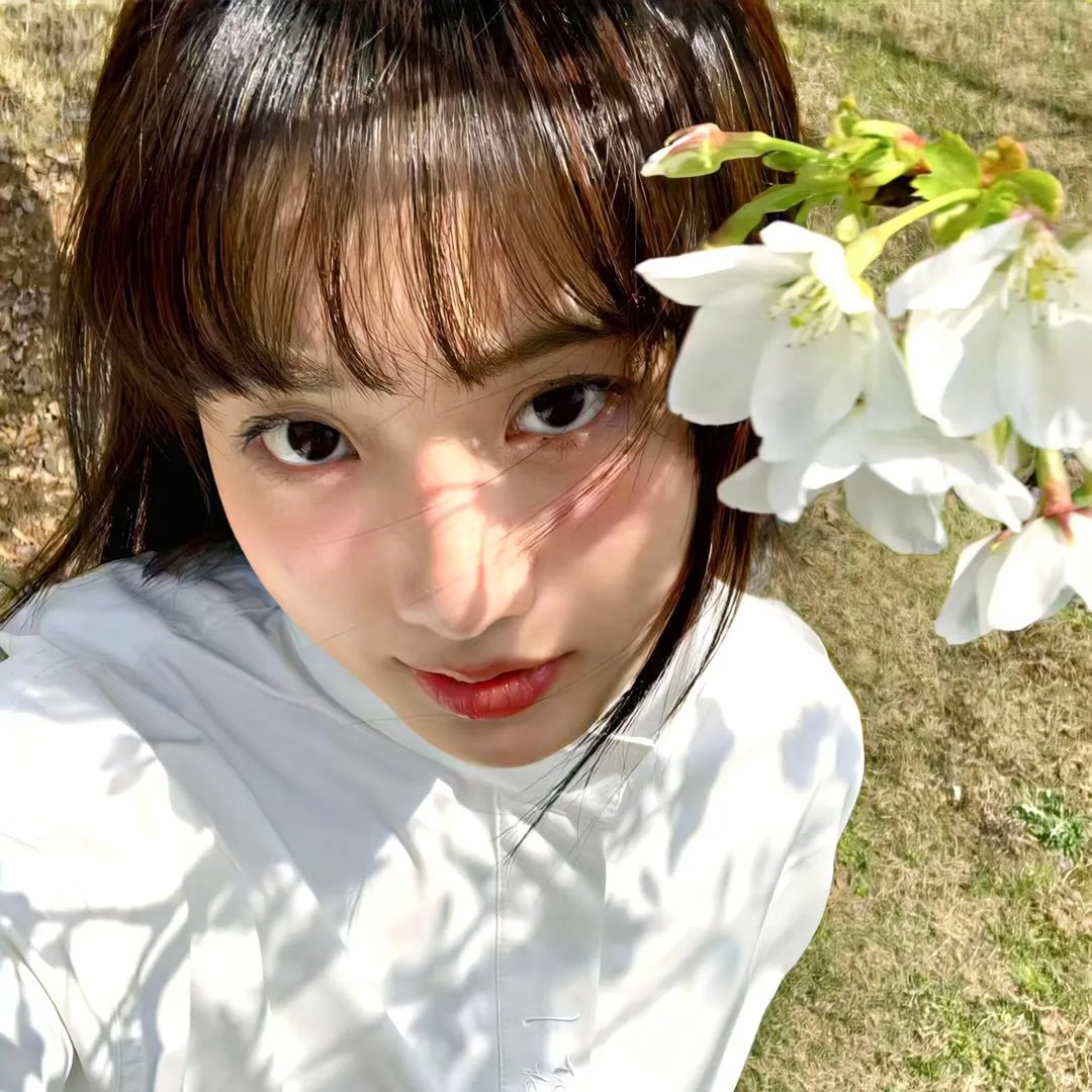 查克贝里演唱会